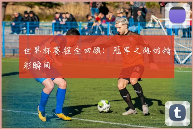 世界杯赛程全回顾:冠军之路的精彩瞬间