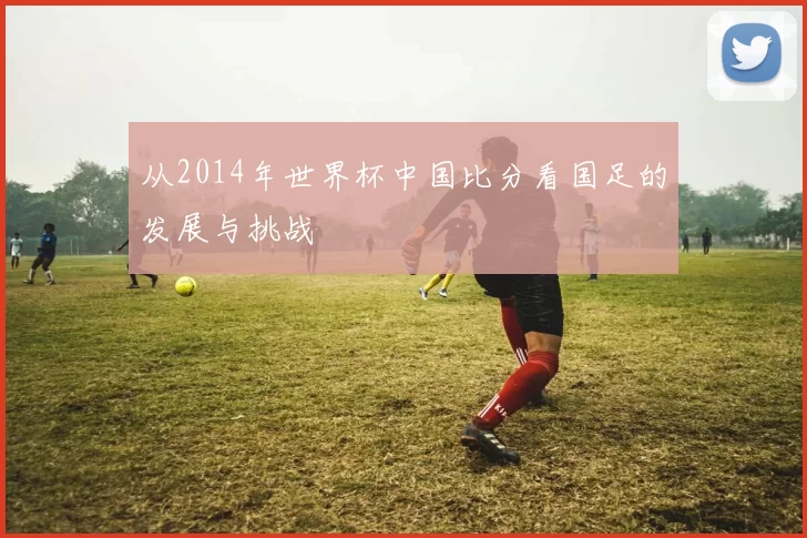 从2014年世界杯中国比分看国足的发展与挑战