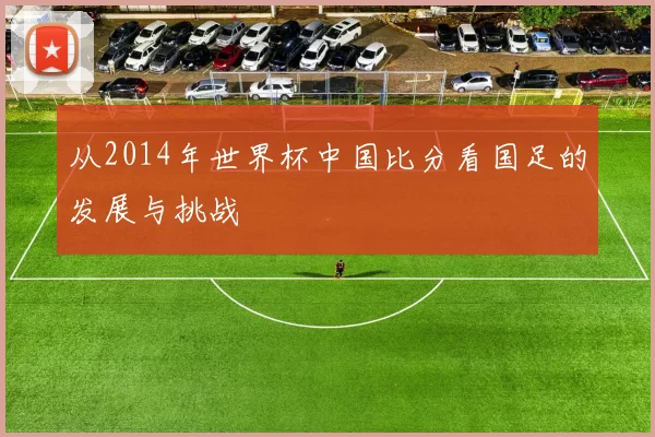 从2014年世界杯中国比分看国足的发展与挑战