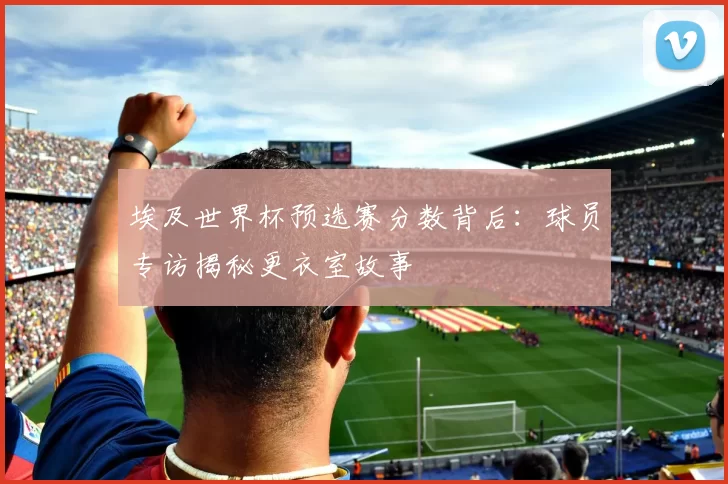 埃及世界杯预选赛分数背后:球员专访揭秘更衣室故事