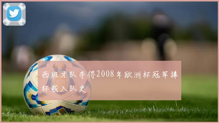 西班牙队夺得2008年欧洲杯冠军捧杯载入队史