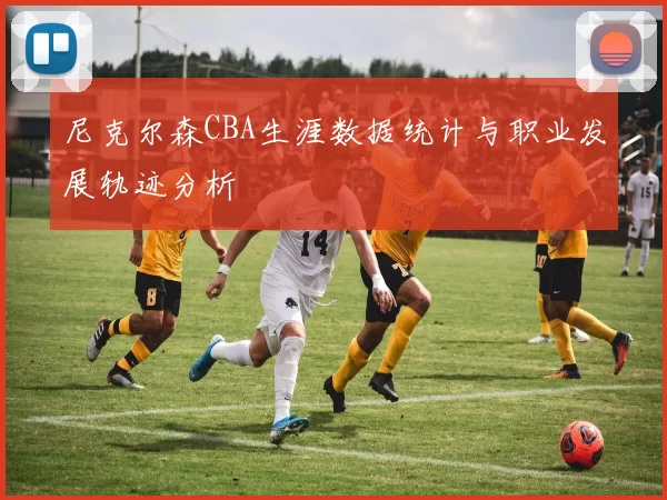 尼克尔森CBA生涯数据统计与职业发展轨迹分析
