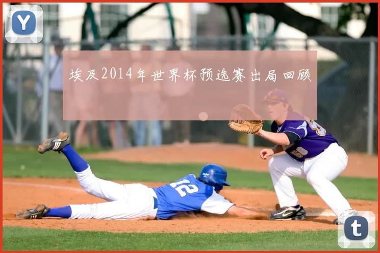 埃及2014年世界杯预选赛出局回顾