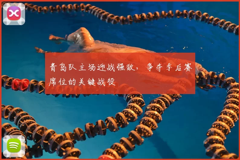 青岛队主场迎战强敌，争夺季后赛席位的关键战役