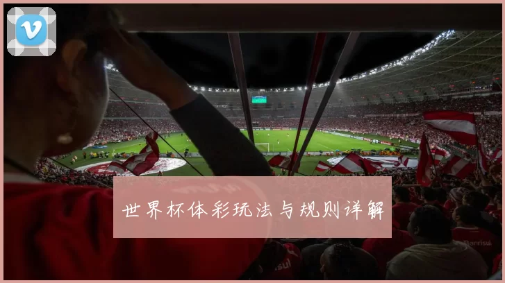 世界杯体彩玩法与规则详解