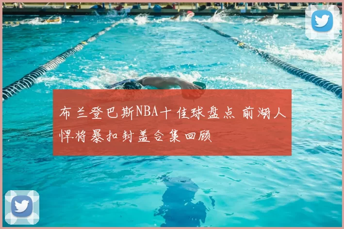 布兰登巴斯NBA十佳球盘点 前湖人悍将暴扣封盖合集回顾