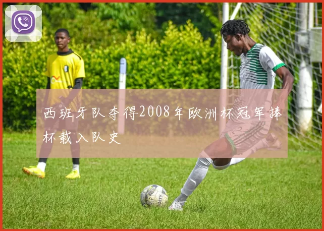 西班牙队夺得2008年欧洲杯冠军捧杯载入队史