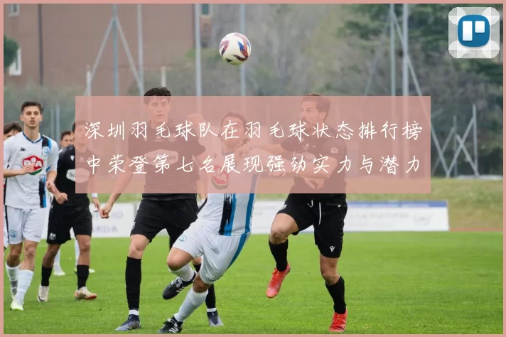 深圳羽毛球队在羽毛球状态排行榜中荣登第七名展现强劲实力与潜力