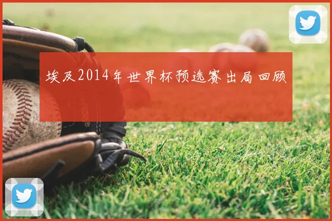 埃及2014年世界杯预选赛出局回顾