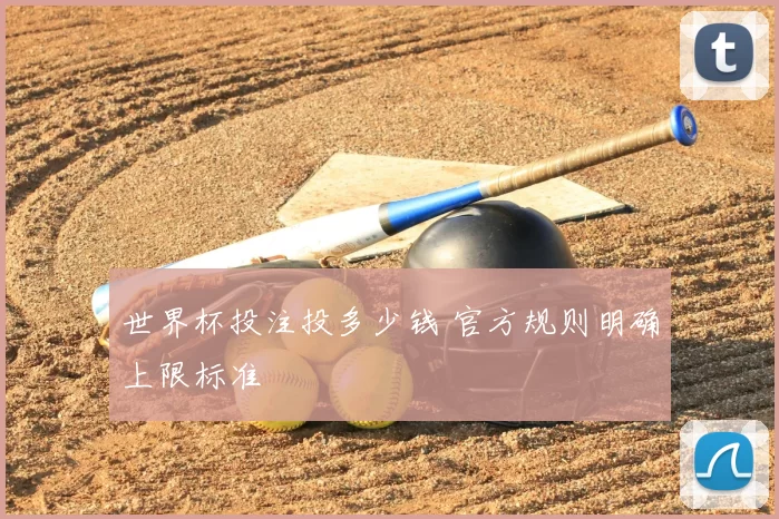 世界杯投注投多少钱 官方规则明确上限标准