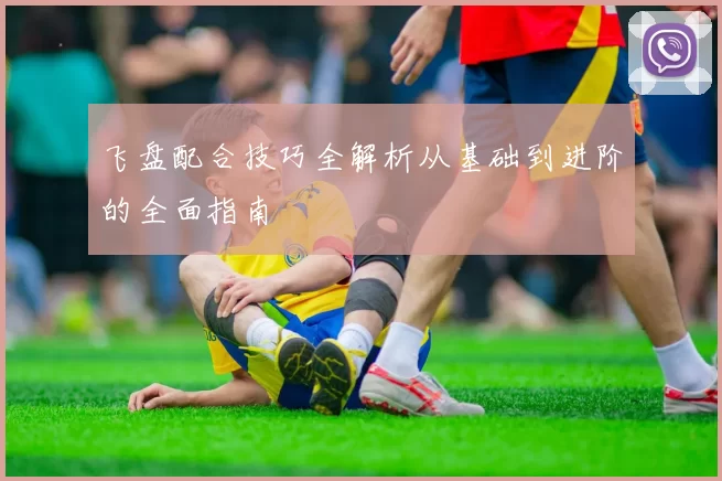 飞盘配合技巧全解析从基础到进阶的全面指南
