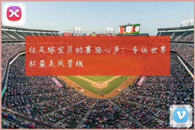位足球宝贝的赛场心声：专访世界杯最美风景线