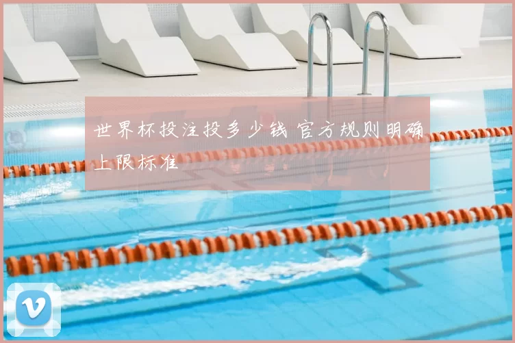 世界杯投注投多少钱 官方规则明确上限标准