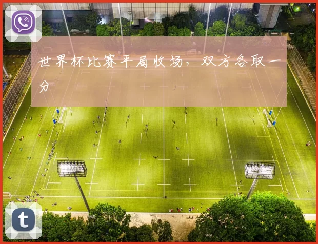 世界杯比赛平局收场,双方各取一分