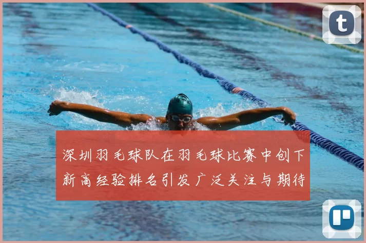 深圳羽毛球队在羽毛球比赛中创下新高经验排名引发广泛关注与期待