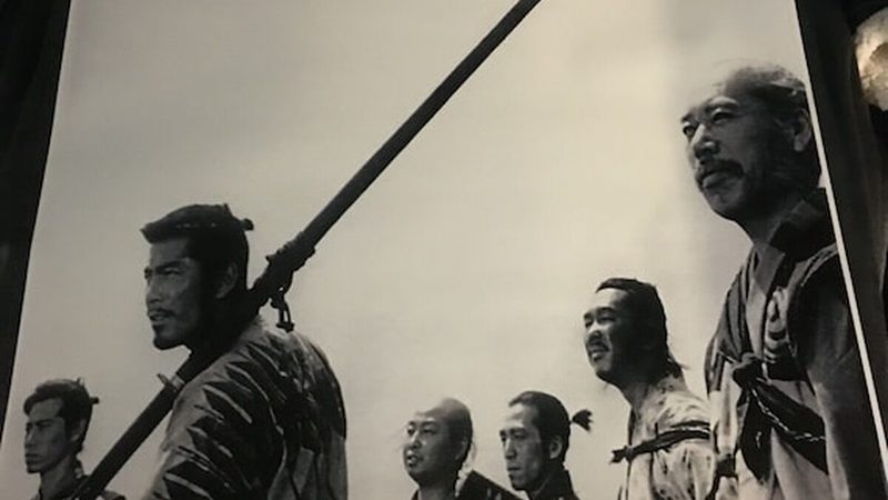 绿化苗木种植：如何提升成活率与施工效率**