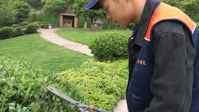 绿化养护公司选哪家？关键看这几点**