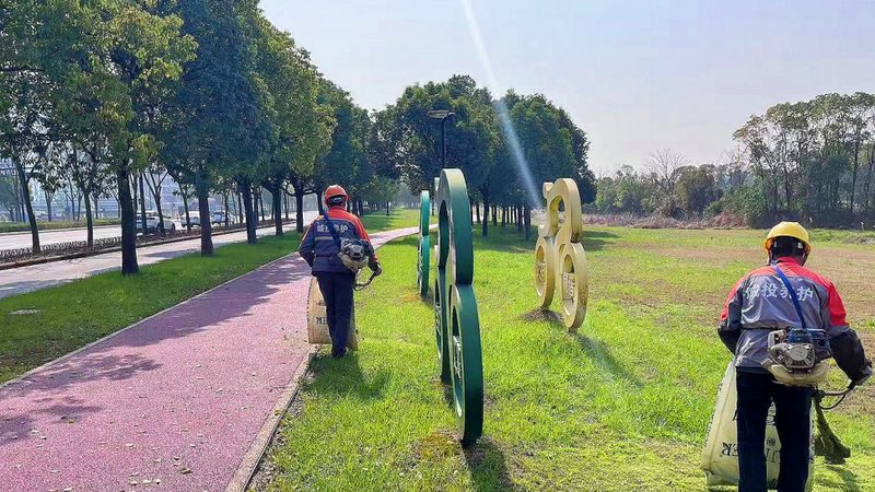 市政道路绿化施工材料清单：揭秘关键要素**