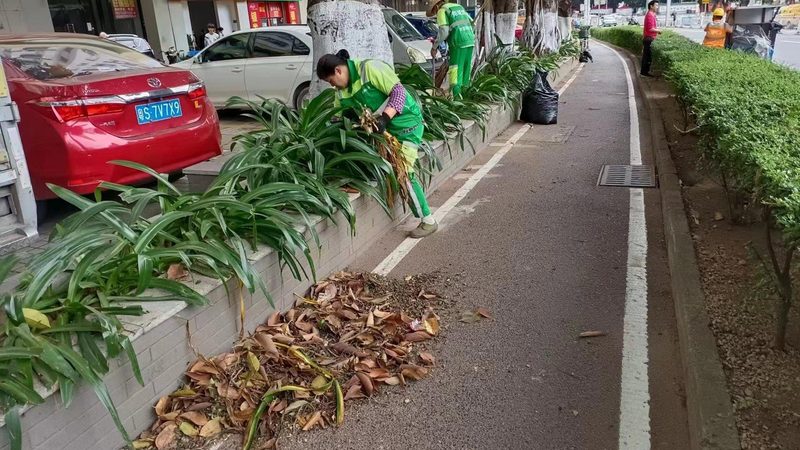 别墅花园不是复制粘贴，定制设计才是灵魂
