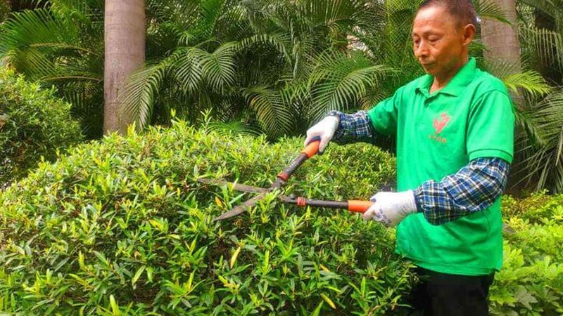 厂区道路绿化养护，这笔账到底该怎么算