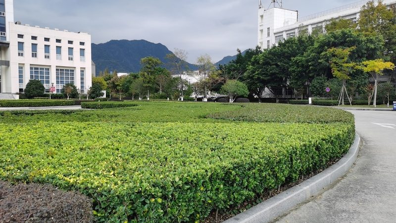 植物墙安装流程及规范详解