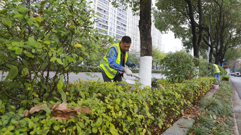 别墅花园设计施工报价清单：揭秘别墅园林打造的关键要素**