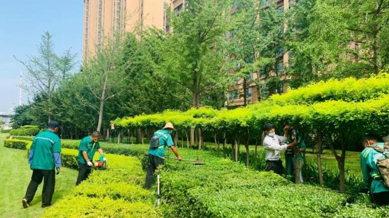 园林绿化资质乙级和甲级哪个牌子好